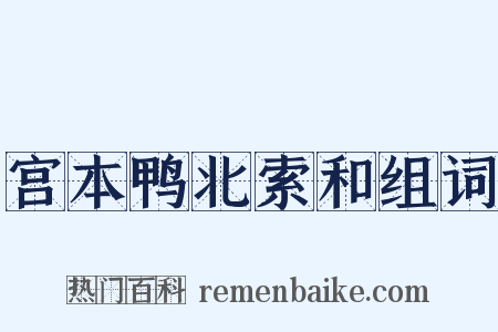 宫本鸭北索和组词是什么意思的图片